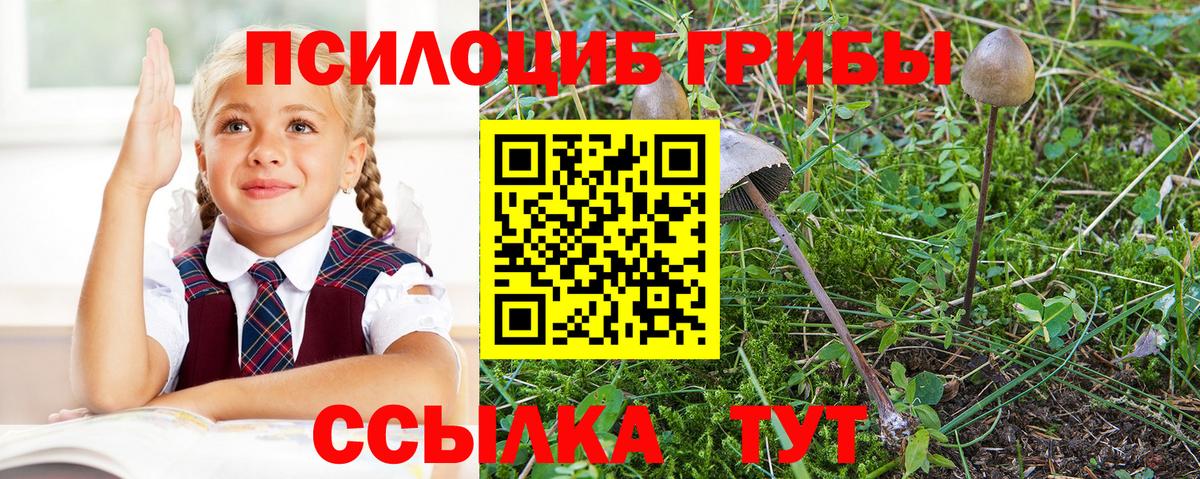 Галлюциногенные грибы Magic Shrooms Новоалтайск
